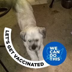 Profile Picture of robertschmalzrie3 (@robertschmalzrie3) on Tiktok