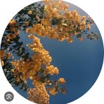 Profile Picture of Jaswinder Parmar (@Jaswinder-Parmar) on Facebook