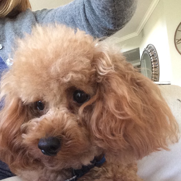 Profile Picture of Jacque Kaylor (@kikicalif) on Poshmark