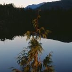 Profile Picture of Bobby Williams (@b_alive_now) on Instagram