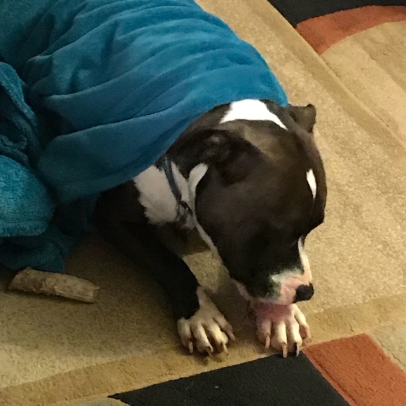 Profile Picture of Shawn Decosta (@sdecosta70) on Poshmark