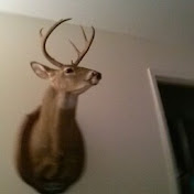 Profile Picture of Clay Wilson (@claywilson3046) on Youtube