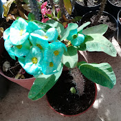 Jose Sotelo - Youtube Profile Picture of Jose Sotelo (@josesotelo1548) on Youtube