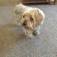 Profile Picture of Ariana Lugo (@ariana-lugo-22) on Quora