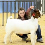 Hannah Kidder - Instagram Profile Picture of Hannah Kidder (@hannahk_3) on Instagram