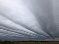 Altostratus cloud - Wikipedia Profile Picture of Altostratus cloudon Wikipedia