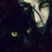 Profile Picture of Bobbie Gantz (@bobbie.gantz) on Facebook