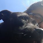 Profile Picture of Anja Rajčanji (@rajcanji_a) on Instagram