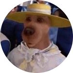 Profile Picture of Old Gregg (@notsethcrowley) on Instagram