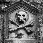 Profile Picture of Michael Gallagher (@granzyme) on Flickr