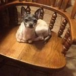 Profile Picture of Eddie Pritchett (@eddiepritchett) on Instagram