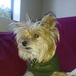 Profile Picture of Cindy Suarez (@cindy.suarez.39750121) on Instagram