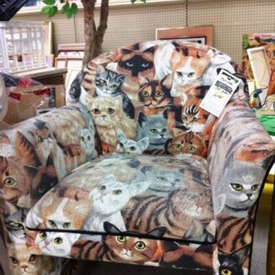 Profile Picture of Brandon Paradis (@brandonparadis2) on Twitter