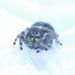 Profile Picture of David Poulson (@obsidianhue) on Pinterest