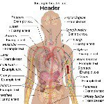 Profile Picture of Acheampong Ericus (@acheampongericus) on Instagram