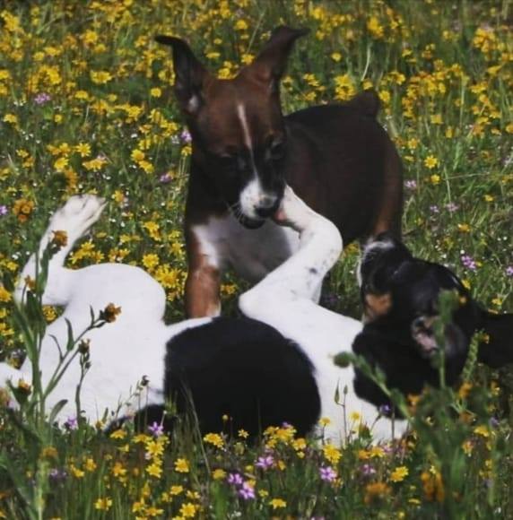 Christina Migliaccio-martinez - Poshmark Profile Picture of Christina Migliaccio-martinez (@mabcjm) on Poshmark