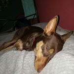 Profile Picture of lacey maxwell (@lacey._.maxwell) on Instagram