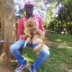 Profile Picture of David winner (@winner1574) on Instagram