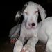 Profile Picture of Jane Deckert (@jdeckert) on Pinterest