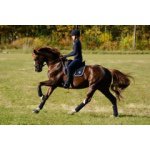 Profile Picture of Alexandra (@alexandraandresen) on Instagram