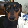 Profile Picture of Steve Fournier (@@swfournier) on Tiktok