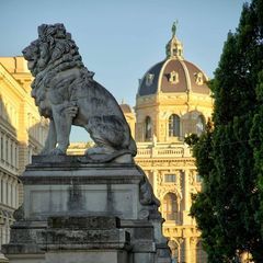 Profile Picture of josephwien (@josephwien) on Tiktok