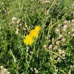 Profile Picture of Dylan hardy (@hardydylan29) on Instagram