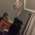 Profile Picture of Ruby Nicholson (@rubyxnicholson) on Instagram