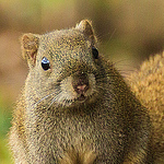 Profile Picture of H Z (@hong zhao) on Flickr