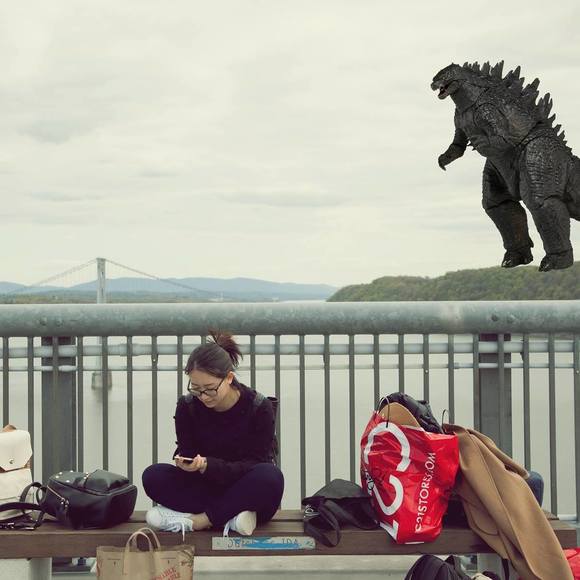 Profile Picture of Wei vera Zhang (@w_zhang) on Poshmark