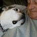 Profile Picture of James Sigler (@jsigler23) on Pinterest