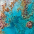 Profile Picture of Lenard Newkirk (@Lenard-Newkirk) on Facebook