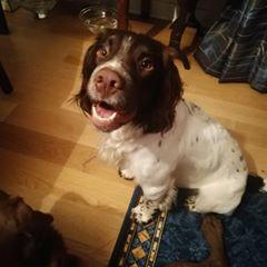 Profile Picture of Rupert Alexander (@rupertalexander0) on Tiktok