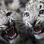 Djamel Cherbi - Flickr Profile Picture of Djamel Cherbi (@djamelcherbi) on Flickr