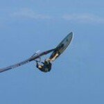 Profile Picture of Scott Paton (@patonscott) on Instagram