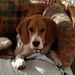Profile Picture of Hazel Stubbs (@hazelstubbs1) on Pinterest