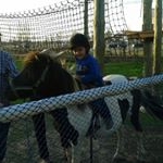 Asmae Alaoui - Instagram Profile Picture of Asmae Alaoui (@alaoui.asmae) on Instagram