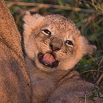 Profile Picture of Whiteeye2 (@whiteeye2) on Flickr