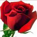Profile Picture of Olga Sol (@olga.sol.5496) on Facebook