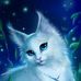 Profile Picture of Daniel Pallo (@daniel.pallo.1044) on Facebook