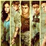 Profile Picture of Newt Thomas Teresa Minho (@maze.runner.team) on Instagram