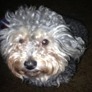 Profile Picture of Rosy (@rosyryan) on Myspace