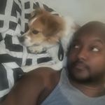 Profile Picture of Robert Wilkerson (@life_and_times_of_rob_and_sal) on Instagram