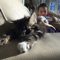 Profile Picture of Colin Hartshorne (@colin-hartshorne) on Quora