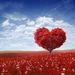 Profile Picture of Juliann Marchant (@juliannmarchant) on Pinterest