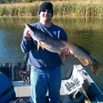 Profile Picture of Shawn Bachman (@bachmania1) on Instagram