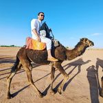 Profile Picture of Brian Wolfe (@wolfeba44) on Instagram