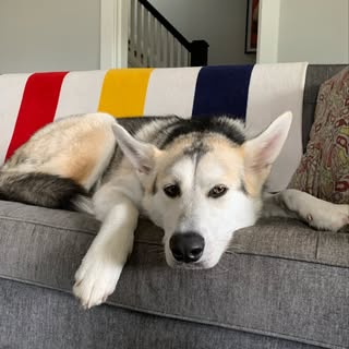 Profile Picture of jaytravis (@jaytravis) on Instagram