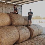 Profile Picture of Antony Marrapodi (@tony_marrapodi) on Instagram