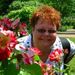 Profile Picture of Eileen Wade (@gellibirdsattic) on Pinterest